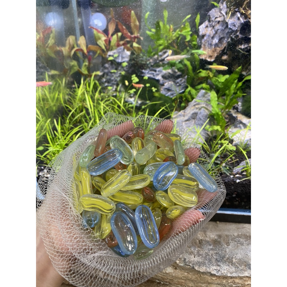 Sỏi thủy tinh nhiều màu trang trí bể cá 500gr