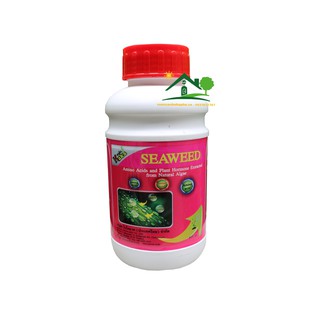 Kaka Thailand Phân Rong Biển Hữu Cơ Kích Hoa Chồi Nụ 500ml