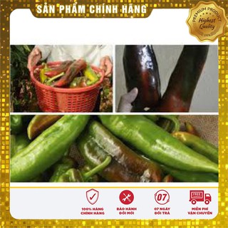 Hạt Giống Ớt Sừng Ngọt