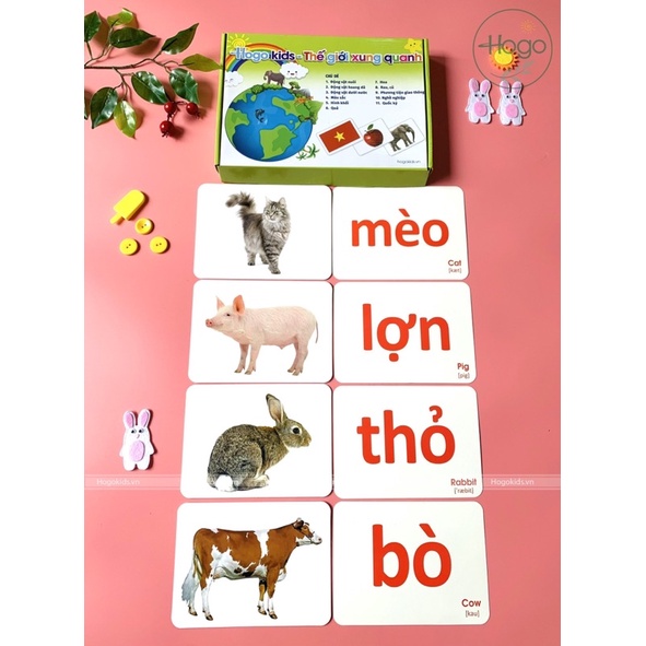 [HÀNG CHUẨN] Bộ Thẻ Học Thông Minh Flashcard Chất Lượng Cao Size Lớn