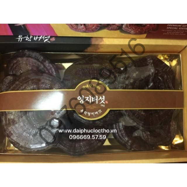 GIÁ SỐC: HỘP NẤM LINH CHI ĐỎ HÀN QUỐC HỘP CÔ GÁI 1KG