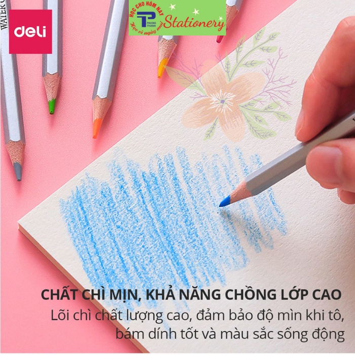 Bút chì màu nước cao cấp Deli - Có kèm cọ tán - Bộ 24 màu - 6521