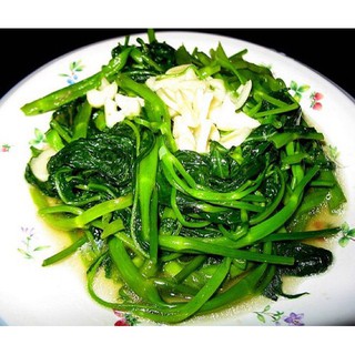 Hạt giống rau muống nhập khẩu-  chuyên dụng.