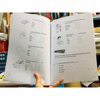 Essential Vocabulary in Context