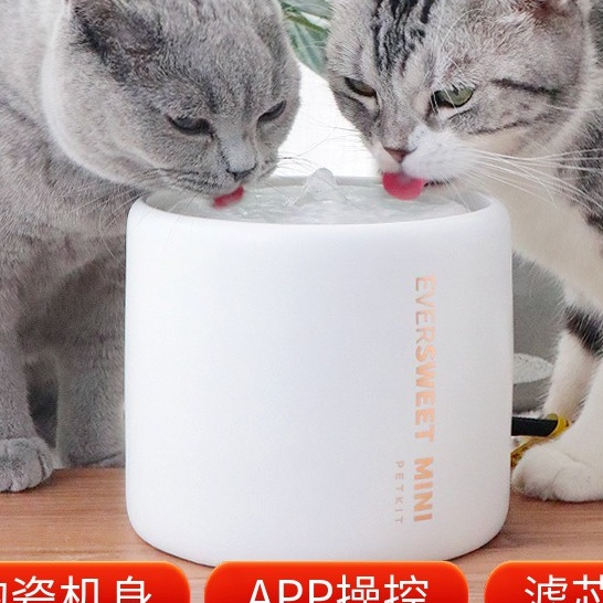 Máy lọc nước Petkit bằng sứ cho chó mèo eversweet ceramics dùng app, đài phun nước tự động thú cưng Con Mèo Xiêm