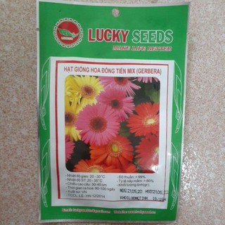 HẠT GIỐNG ĐỒNG TIỀN MIX F1 GÓI 10-15 HẠT