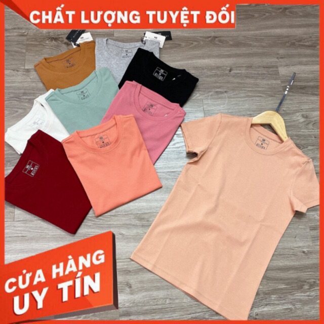 [Mã WARN20 giảm 20k đơn 150k] Áo Thun Nữ ❤️FREESHIP❤️ Áo Thun Nữ Cổ Tròn Mềm Mại Thoáng Mái Xinh Xắn Đẹp Nhất Năm 2020