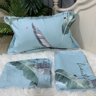 Bộ ga, gối cotton 2m2