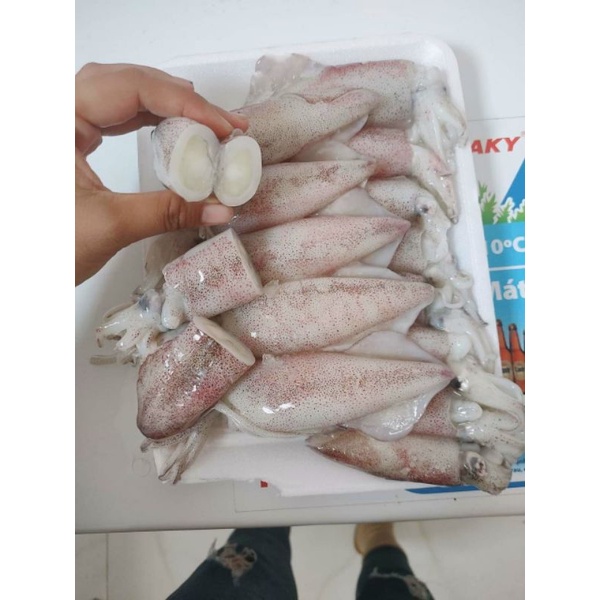 Mực trứng sz 16-18con/kg.