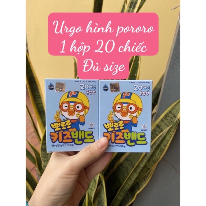 (Sẵn có bill) Băng keo dán cá nhân hình pororo