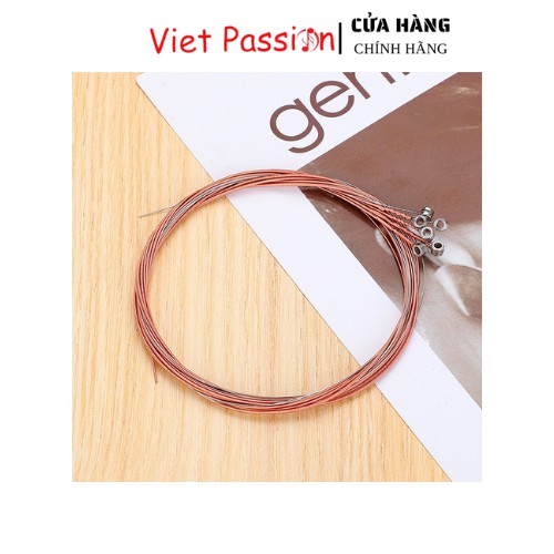 Dây đàn guitar acoustic GP Viet Passion chất lượng dành cho đàn ghita