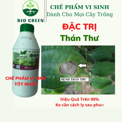Phân bón hữu cơ vi sinh, chế phẩm sinh học bio,thuốc trừ sâu sinh học,Phấn trắng, đốm đen, rỉ sétư- 1l