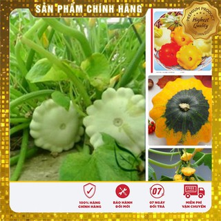 COMBO 2 gói hạt giống bí đĩa bay TẶNG 1 phân bón