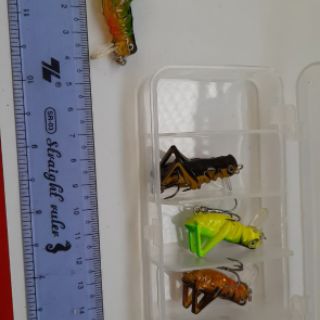 Mồi Côn Trùng, mồi câu lure