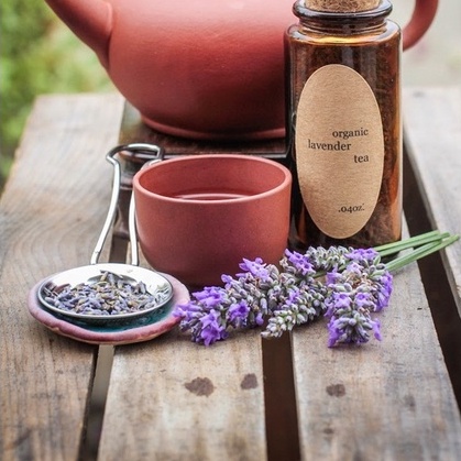 Trà hoa oải hương  tự nhiên