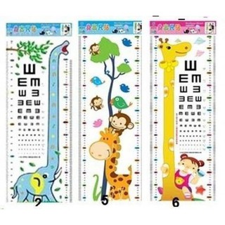 Thước đo chiều cao dán tường cao cấp