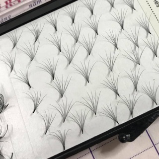 Mi fan sẵn 5d