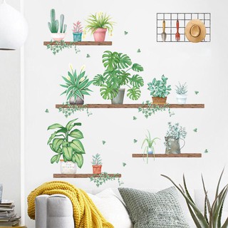 Decal Dán Tường Hình Chậu Cây Hoa
