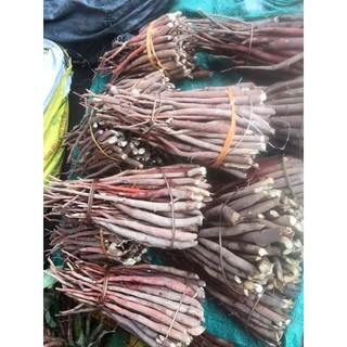 Sâm cau đỏ Tây Bắc 1kg