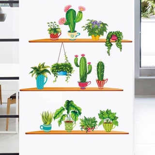 Decal Dán Tường - Giấy Dán Tường - Kệ xương rồng - decalchantuongXH9309 Zooyoo