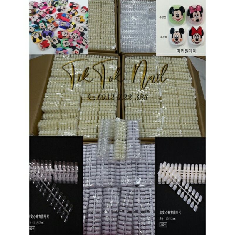 móng vỉ vẽ hoạt hình 240 móng