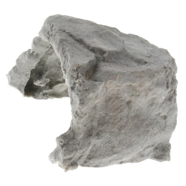 Hang động cho bò sát