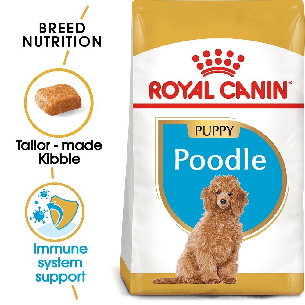 Thức ăn khô cho chó con Poodle dưới 10 tháng tuổi Royalcanin
