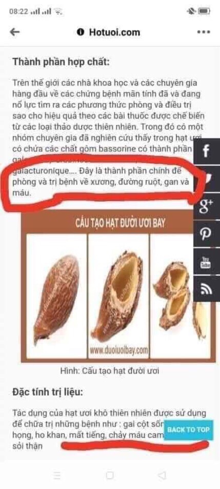 500gram hạt ươi bay to đều đẹp, ươi rừng tự nhiên | BigBuy360 - bigbuy360.vn