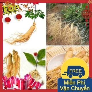 Combo 2 Gói Hạt Giống Nhân Sâm