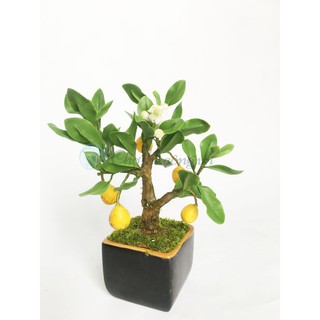 Chậu hoa đất sét mini - Bonsai bưởi handmade cao cấp (18x10x10cm)