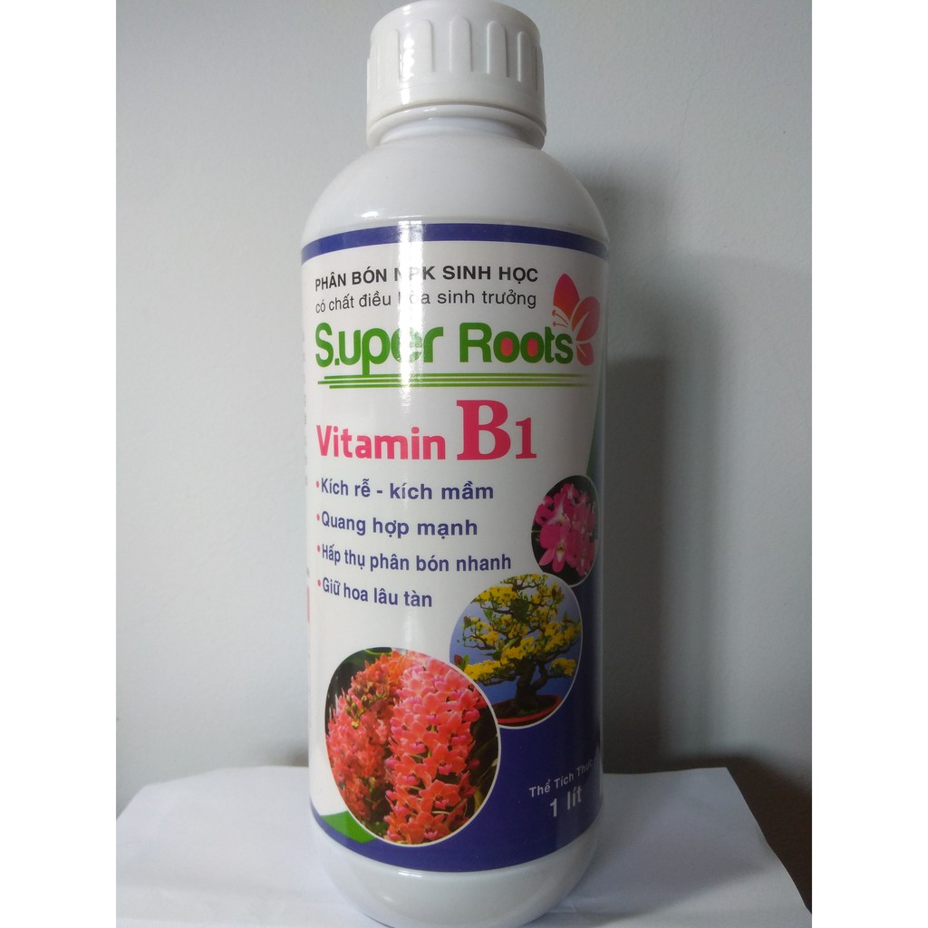 Vitamin B1 super roots kích rễ kích mầm, giữ hoa lâu tàn - chai 1 lít