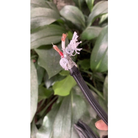 Dây tín hiệu âm thanh