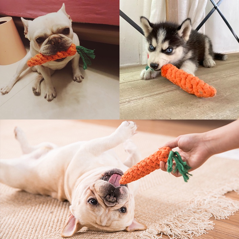Dây Thừng Gai Dắt Cà Rốt Đồ chơi gặm cắn bằng dây thừng cotton dành cho thú cưng
