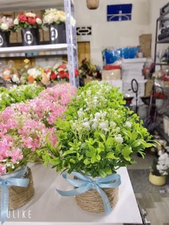 Combo 5 lọ hoa cỏ