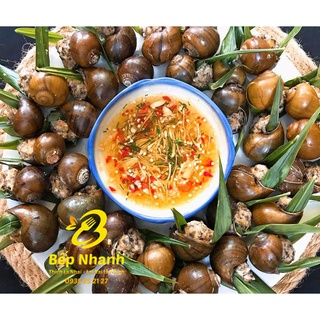 ỐC NHỒI THỊT