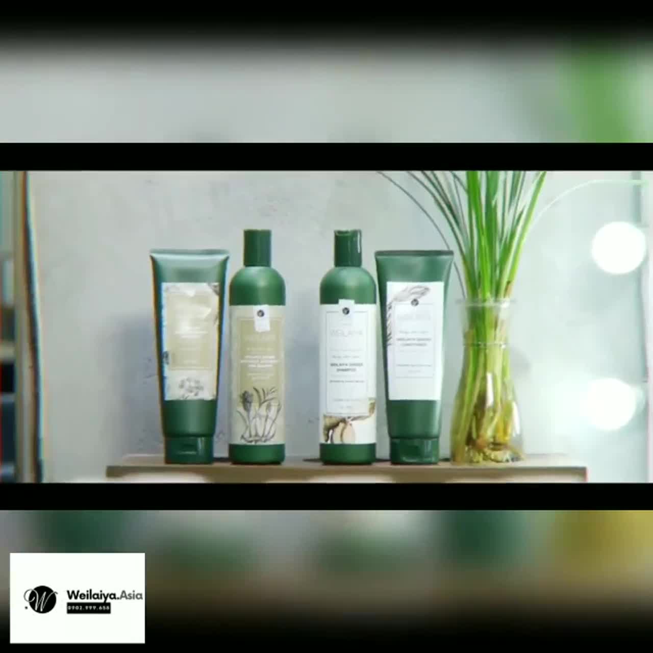 Bộ Dầu Gội Weilaiya Chính Hãng Tinh Chất Gừng Hỗ Trợ Mọc Tóc Ngăn Rụng Tóc - Cho Da Đầu Dầu | BigBuy360 - bigbuy360.vn