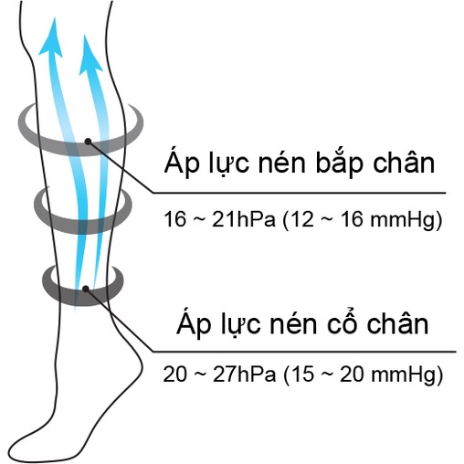 Tất y khoa Fukuske Nhật Bản hỗ trợ suy giãn tĩnh mạch Áp lực 15-20 mmHg loại vớ gối, Hở ngón - Bahachiha