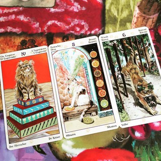 Bộ Bài Tarot of Pagan Cats (Guu Tarot Shop)