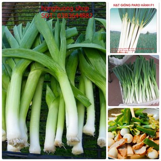 Hạt giống hành paro