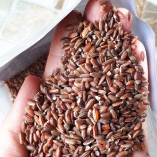 Gạo lứt rẫy Kon Tum