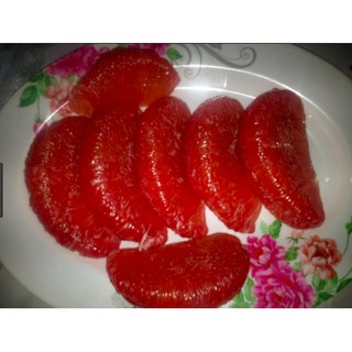 cây bưởi ruột đỏ rubi thái lan