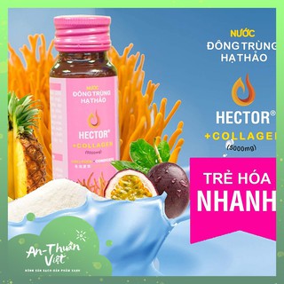 Nước Đông Trùng Hạ Thảo Hector Collagen (10 Chai/hộp)