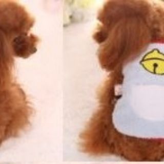 Áo cho chó mèo dưới 1kg
