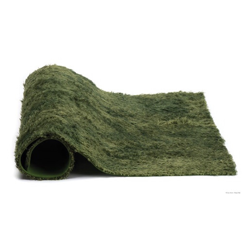 Thảm rêu lót chuồng bò sát,lưỡng cư