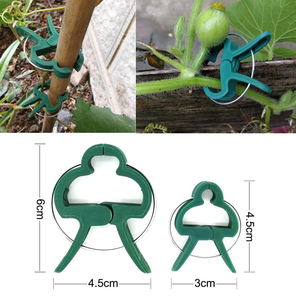 Kẹp Cố Định Cành Cây Lan / Cà Chua Chống Thời Tiết Tiện Dụng Cho Sân Vườn