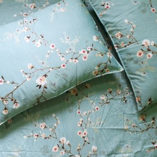 Bộ ga gối Hàn Quốc