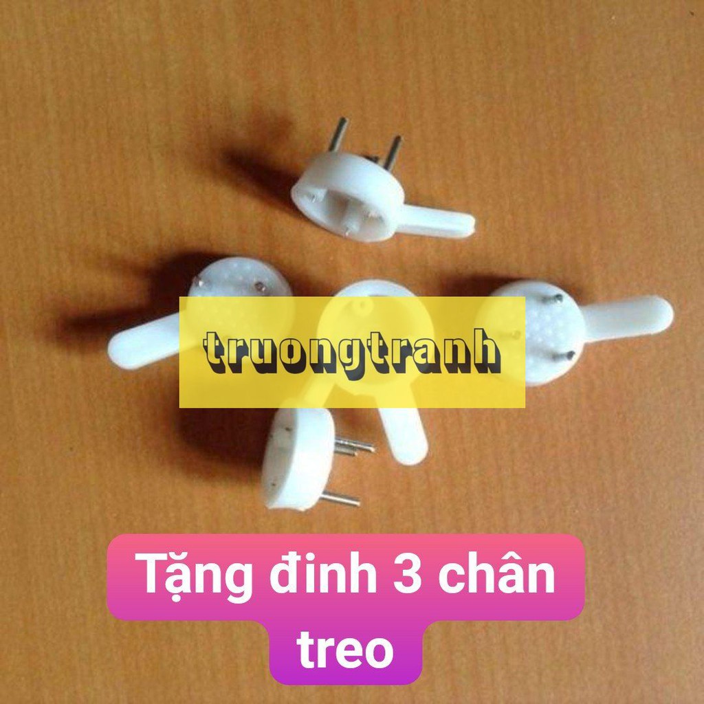 Combo 3 tranh canvas khung gỗ cao cấp - 30025 hoa hồng trắng xanh