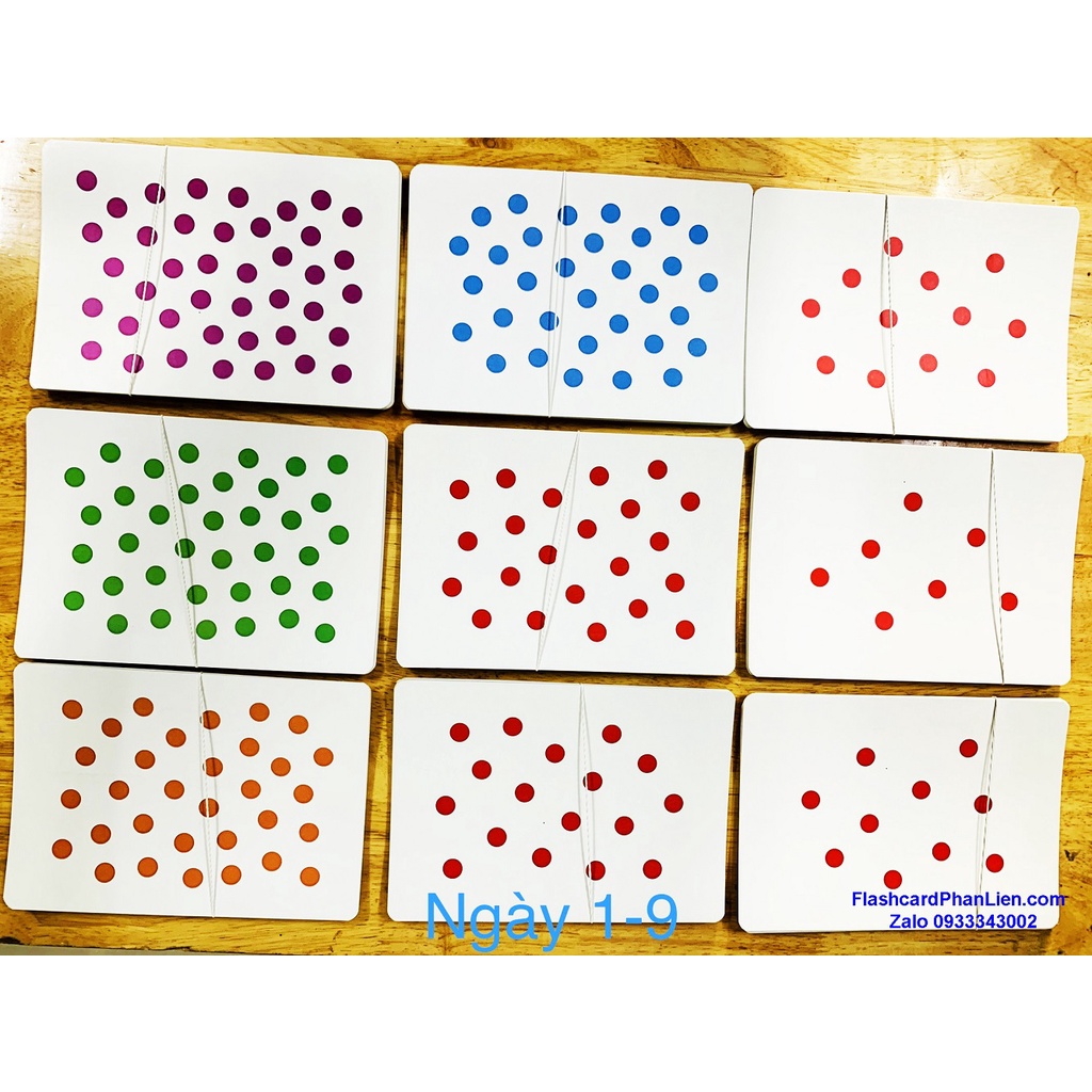 Flashcard thẻ dotcard SHICHIDA chuẩn 63 ngày - 663 thẻ