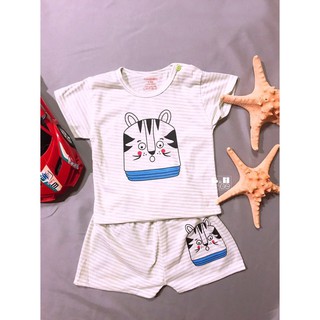 combo 5 bộ cotong hè cho bé