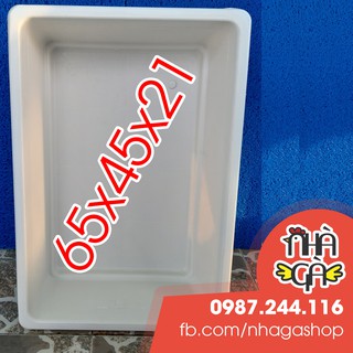 Khay Trắng 65x45x21 - Khay Nhựa Trắng Nuôi Cá , Khay Ép Cá Khay Dưỡng Cá